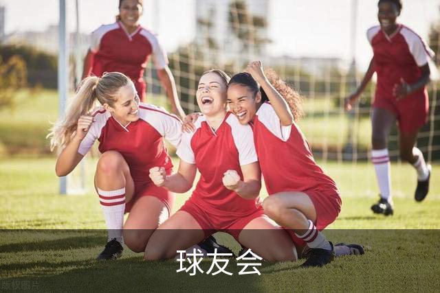 球友会公司介绍